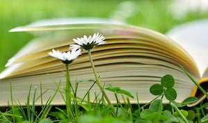 open book with flower
