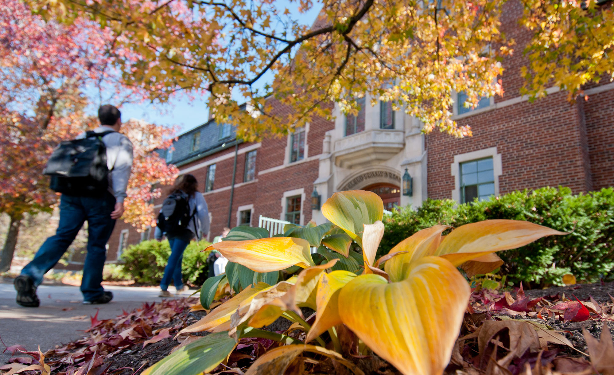 students walking on campus
