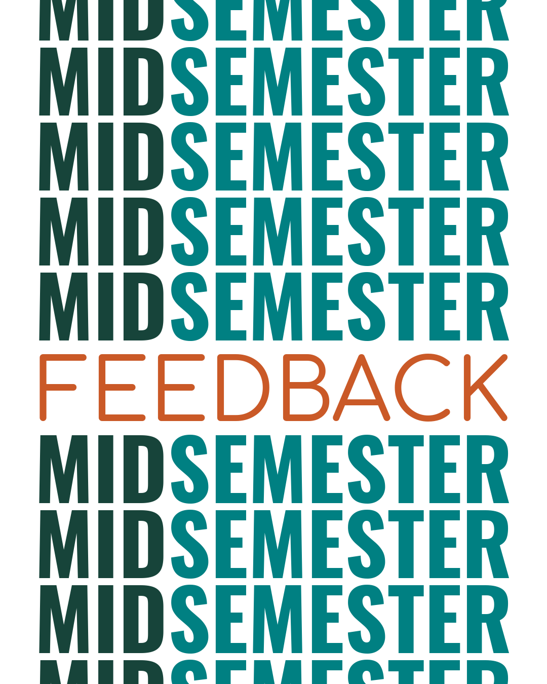 Mid Semester Feedback
